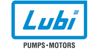 Lubi Pumps Motors